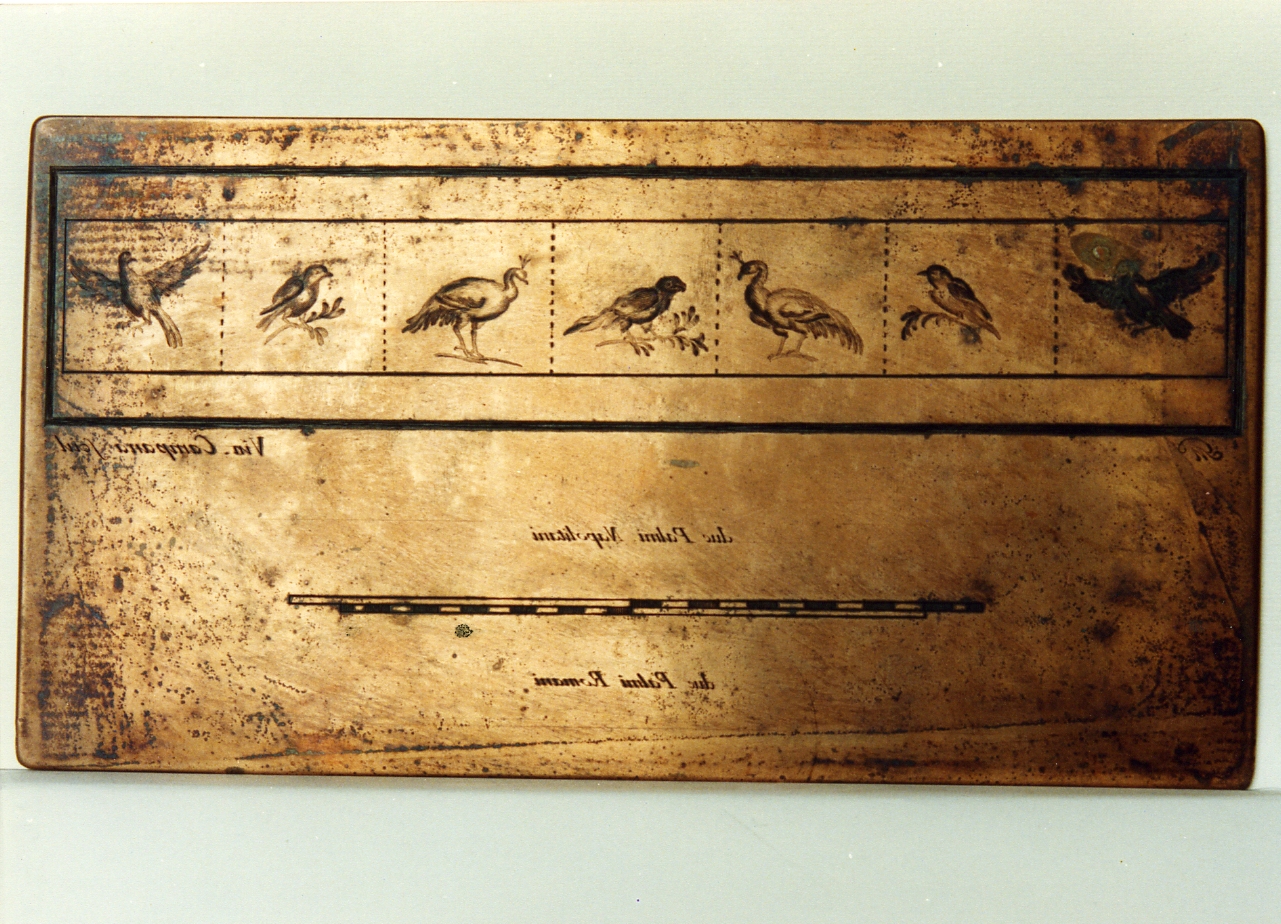 motivi decorativi con uccelli (matrice) di Morghen Giovanni Elia, Campana Vincenzo (sec. XVIII)