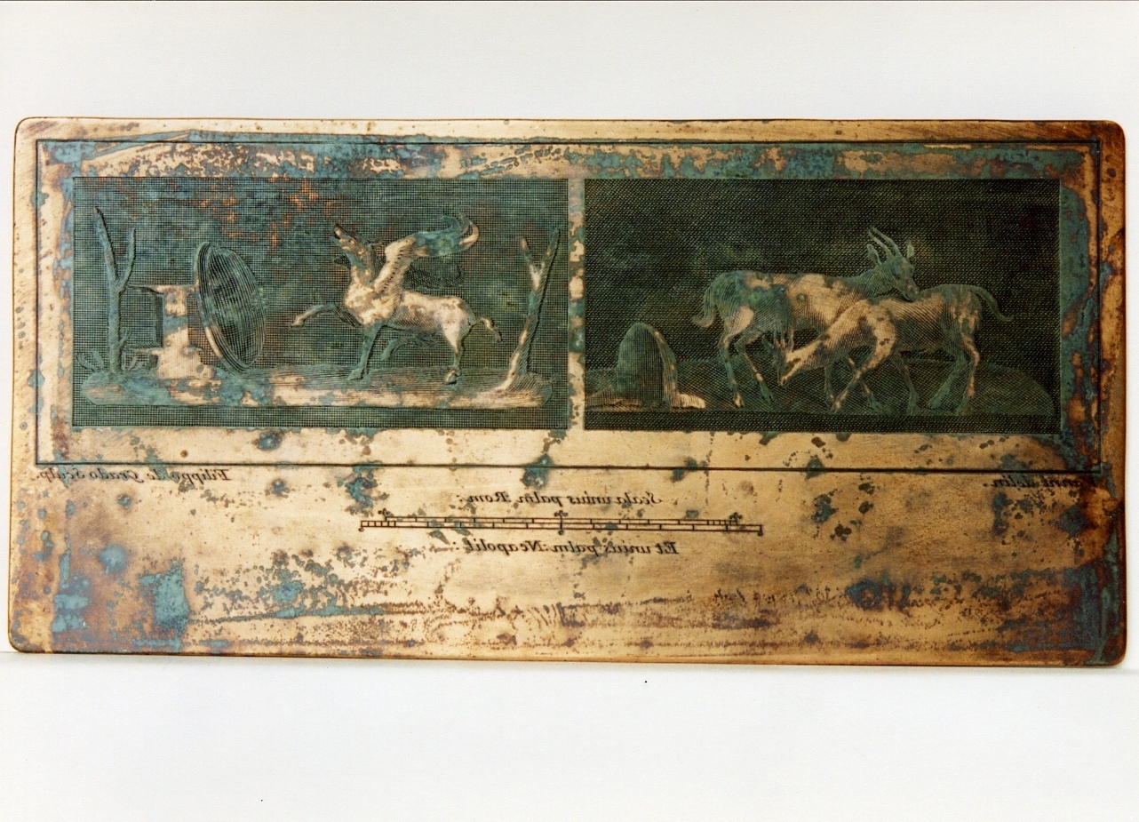 due pannelli con motivi decorativi con animali (matrice) di De Grado Filippo, Vanni Nicola (sec. XVIII)