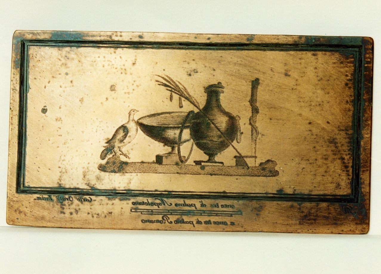 motivo decorativo con uccello, coppa, vaso e ramo di palma (matrice) di Morghen Giovanni Elia, Orazi Carlo (sec. XVIII)