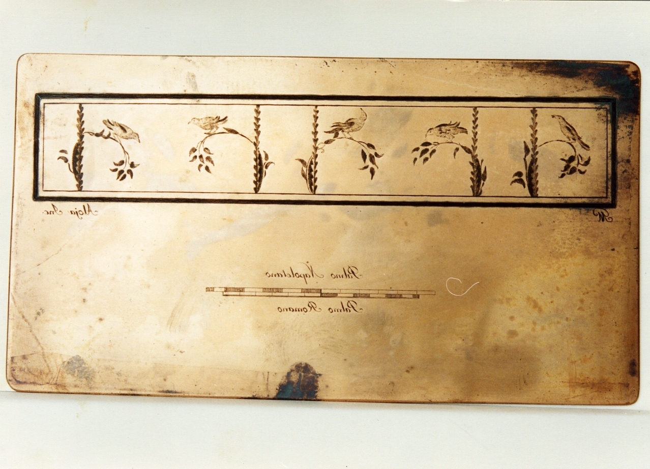 motivi decorativi con uccelli (matrice) di Alloja Giuseppe, Morghen Giovanni Elia (sec. XVIII)