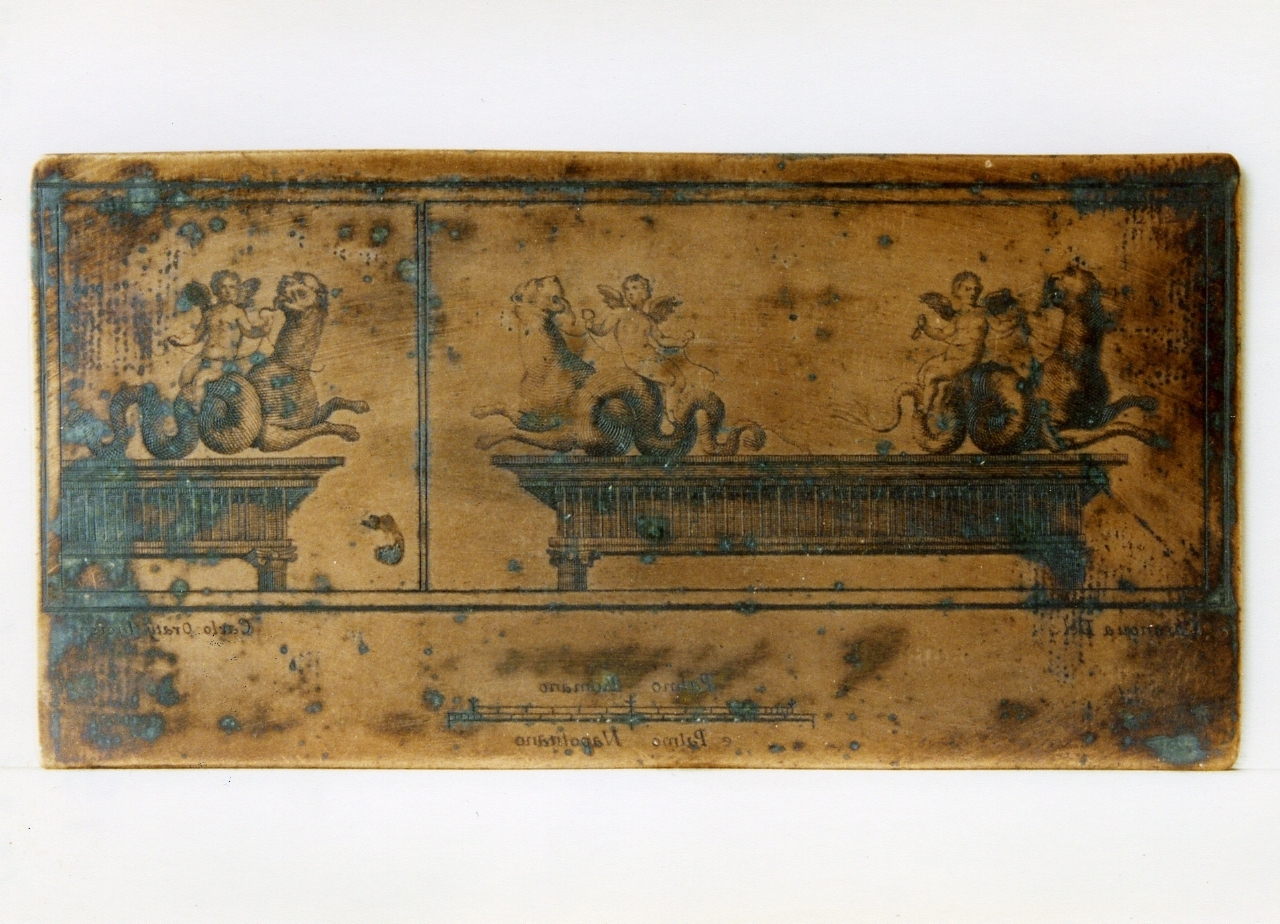 motivi decorativi con amorini su animali fantastici (matrice) di Casanova Giovanni Battista, Orazi Carlo (sec. XVIII)