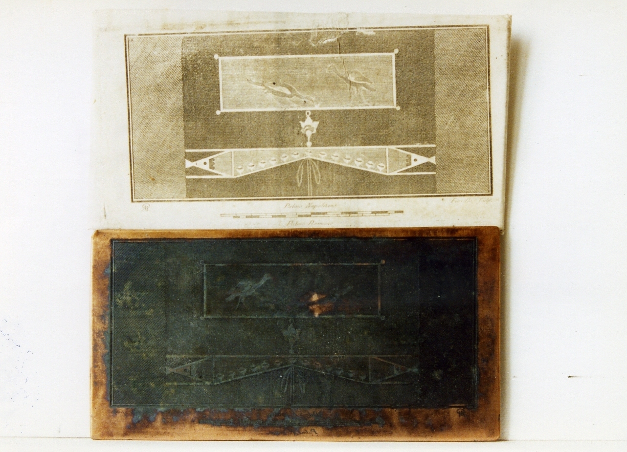 pannello con due ibis ed elemento decorativo (matrice) di Fiorillo Nicola, Morghen Giovanni Elia (sec. XVIII)