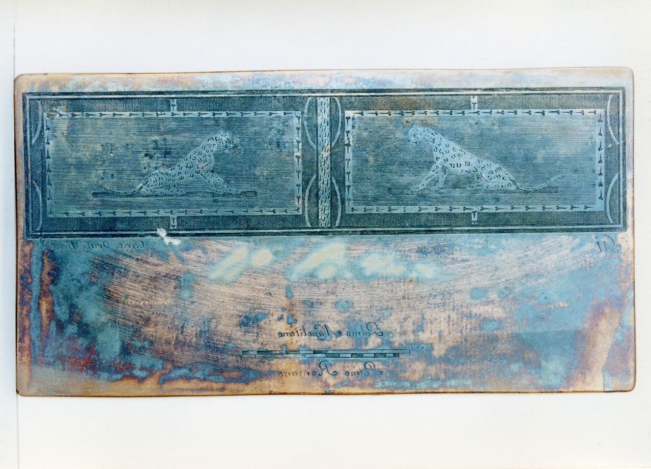motivo decorativo: due pannelli con fiere (matrice) di Morghen Giovanni Elia, Orazi Carlo (sec. XVIII)