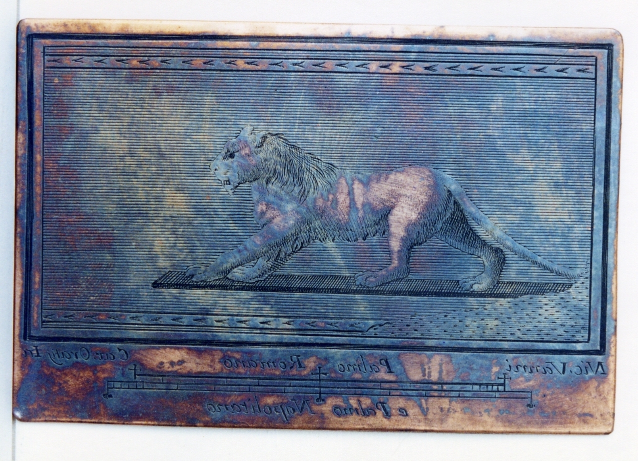 pannello decorativo: leone (matrice) di Orazi Carlo, Vanni Nicola (sec. XVIII)