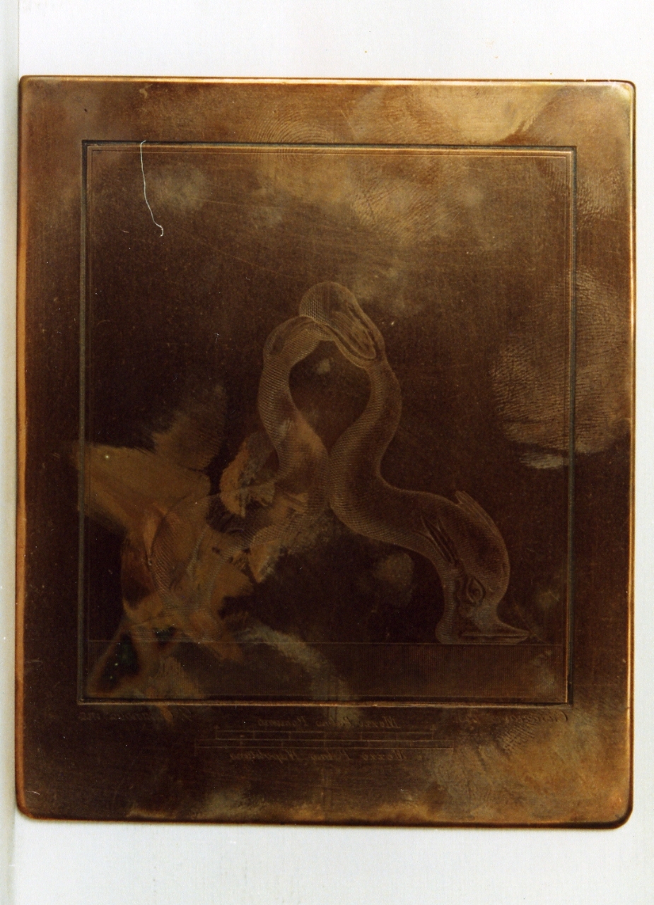 maniglia con due delfini (matrice) di Casanova Giovanni Battista, Casanova Domenico (sec. XVIII)