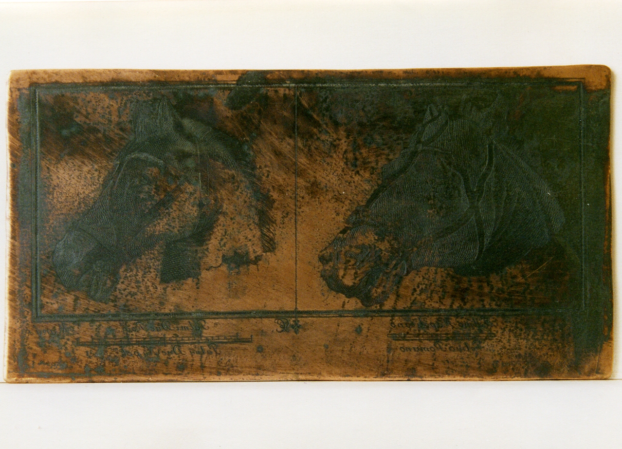 due teste di cavallo in bronzo (matrice) di Morghen Giovanni Elia, Mangini Lorenzo (sec. XVIII)
