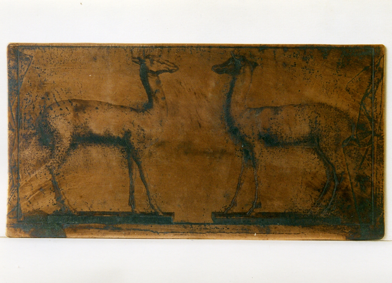 coppia di caprioli di bronzo (matrice) di Morghen Giovanni Elia, Alloja Giuseppe (sec. XVIII)