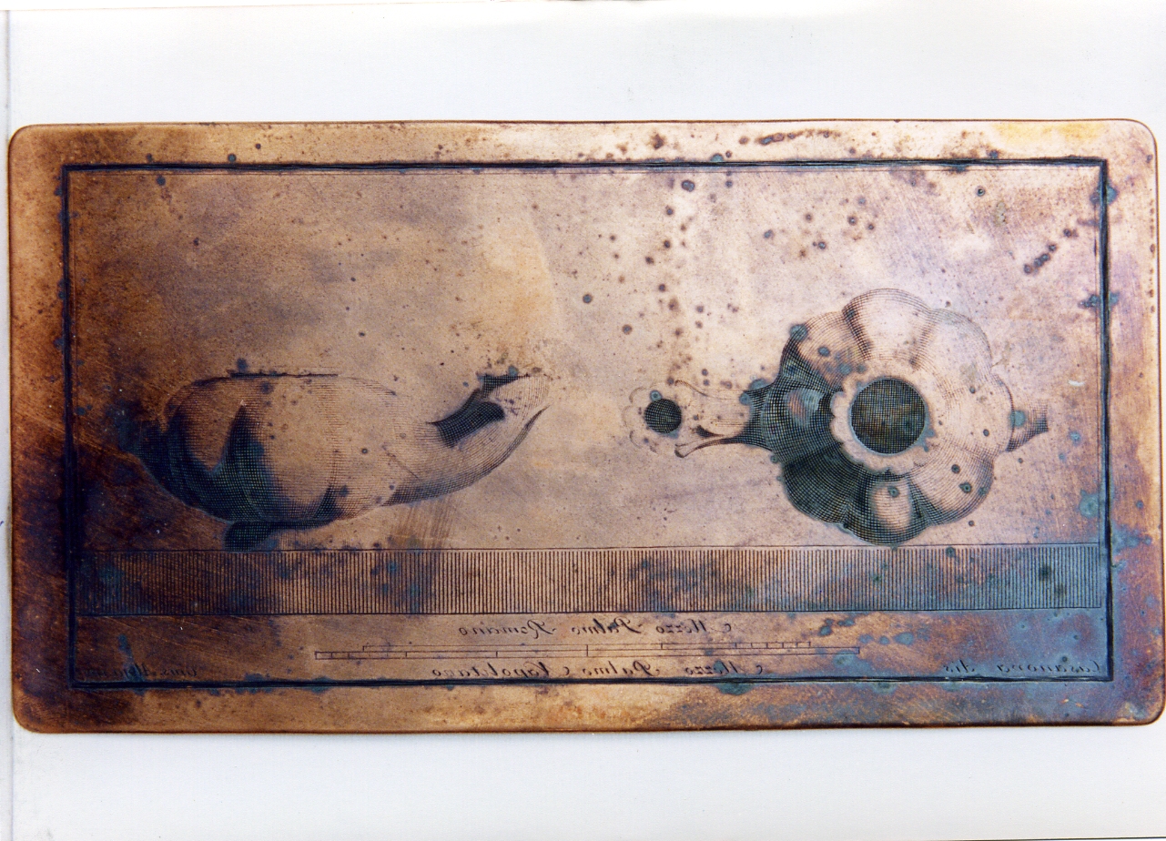 lucerna di bronzo con vasca baccellata: veduta laterale e superiore (matrice) di Alloja Giuseppe, Casanova Giovanni Battista (sec. XVIII)