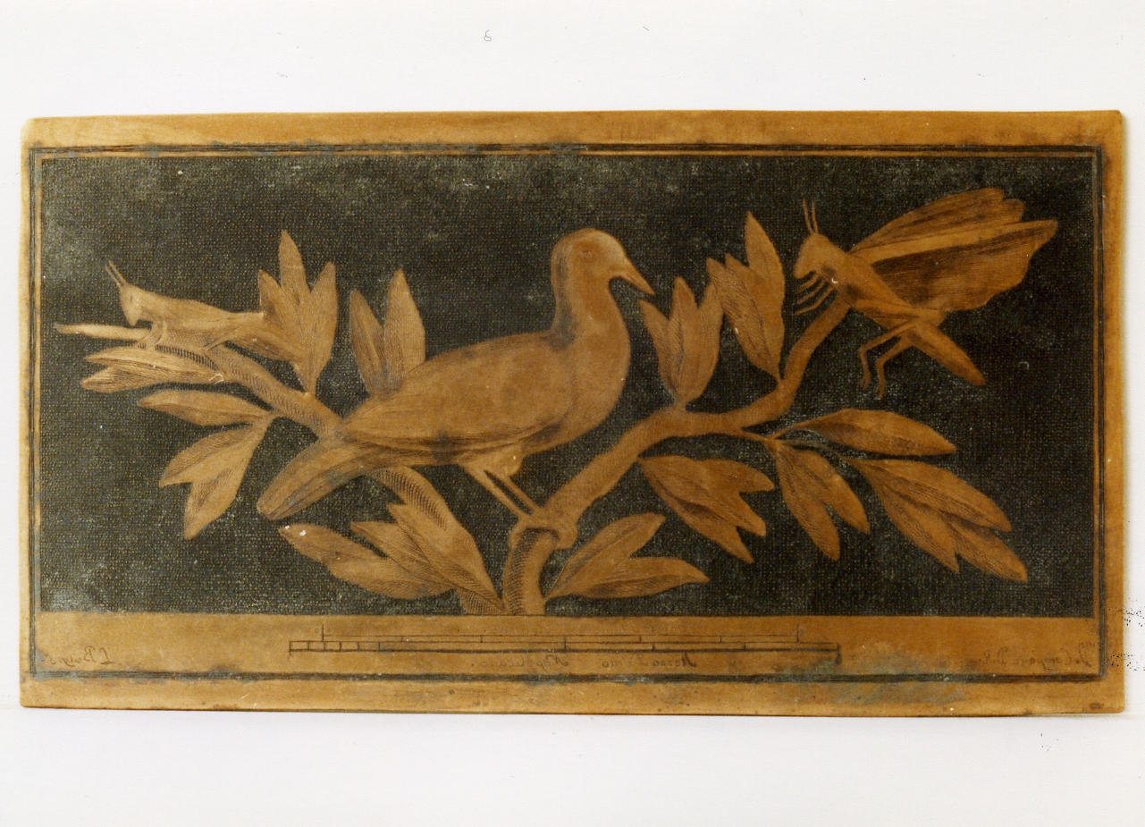 motivo decorativo con uccello e cavallette su ramo (matrice) di Campana Vincenzo, Boily Ludovico (sec. XVIII)
