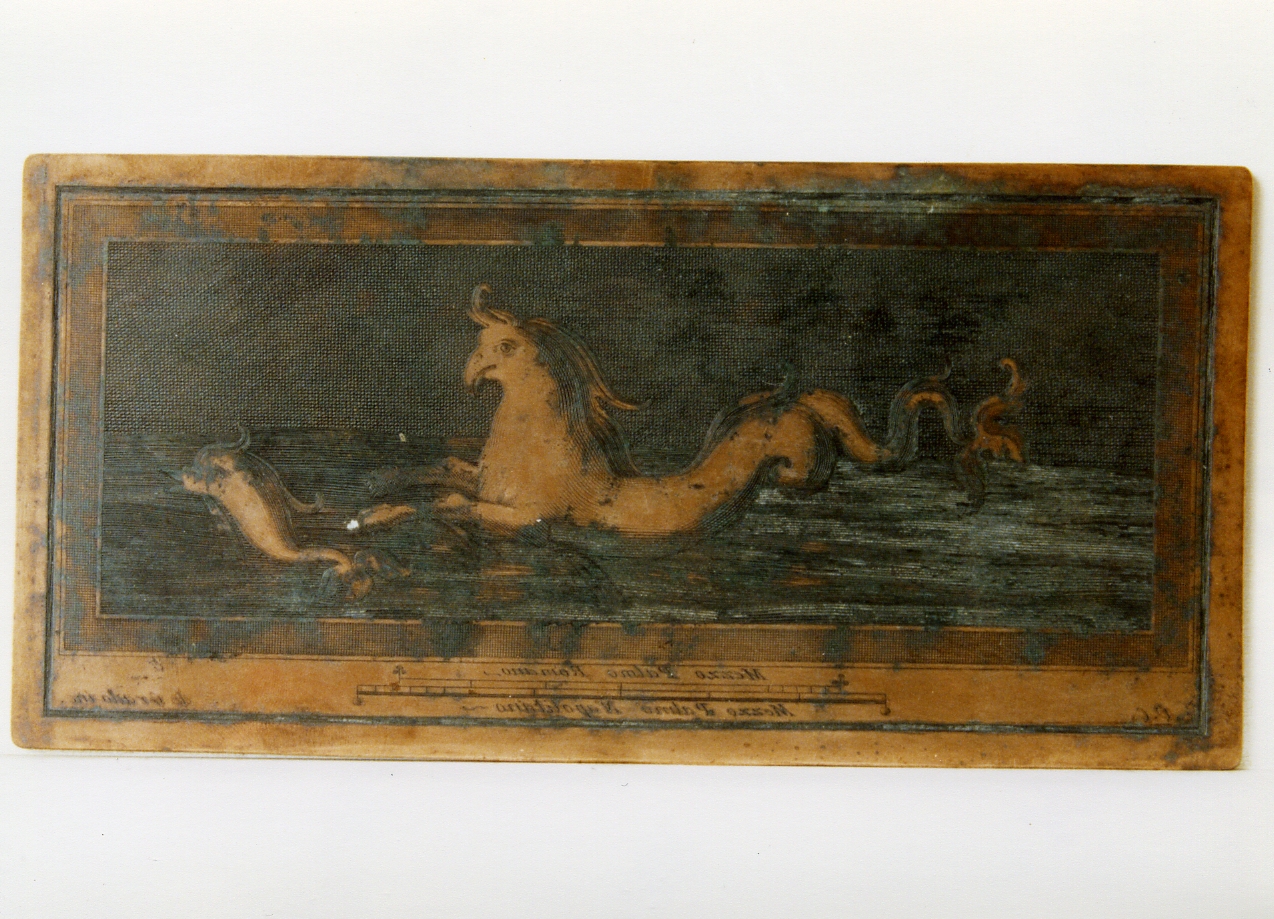 cavallo marino e delfino (matrice) di De Grado Filippo, Campana Vincenzo (sec. XVIII)