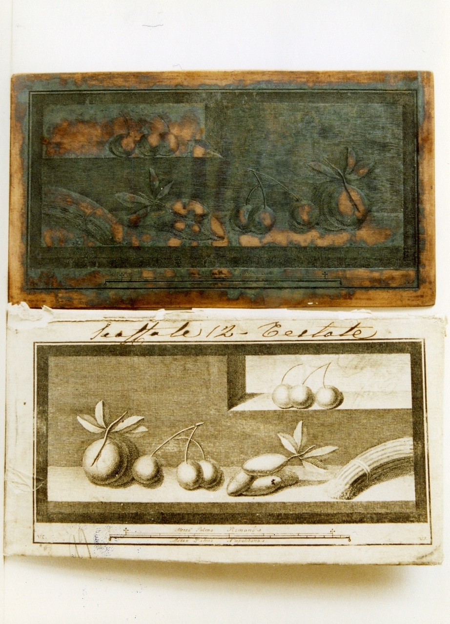 finta architettura con frutta e verdura (matrice) di Scarpati Vincenzo, Campana Vincenzo (sec. XVIII)