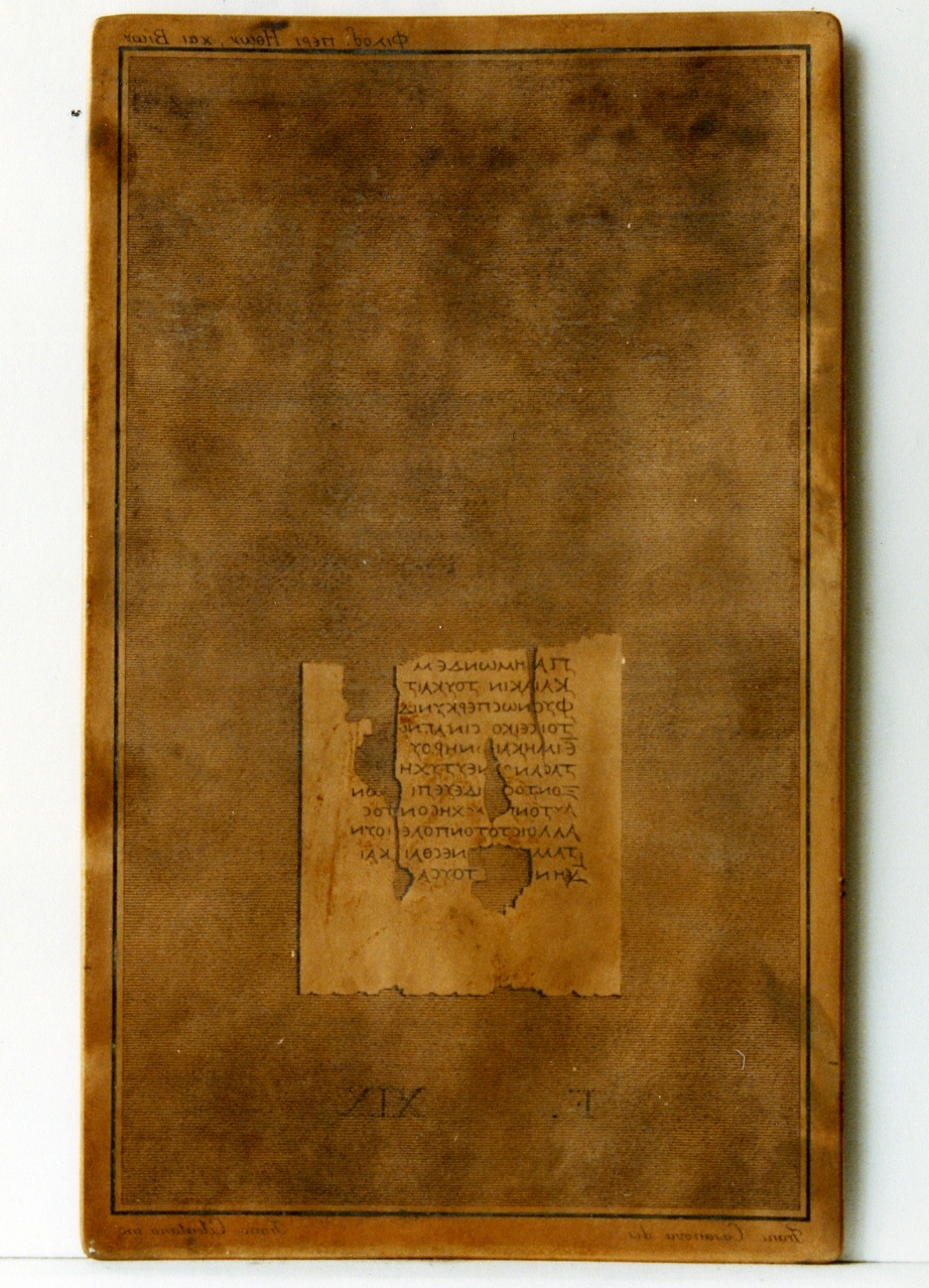 testo greco da Filodemo «dei costumi, delle vite»: F. XIX (matrice) di Casanova Francesco, Celentano Francesco (sec. XIX)