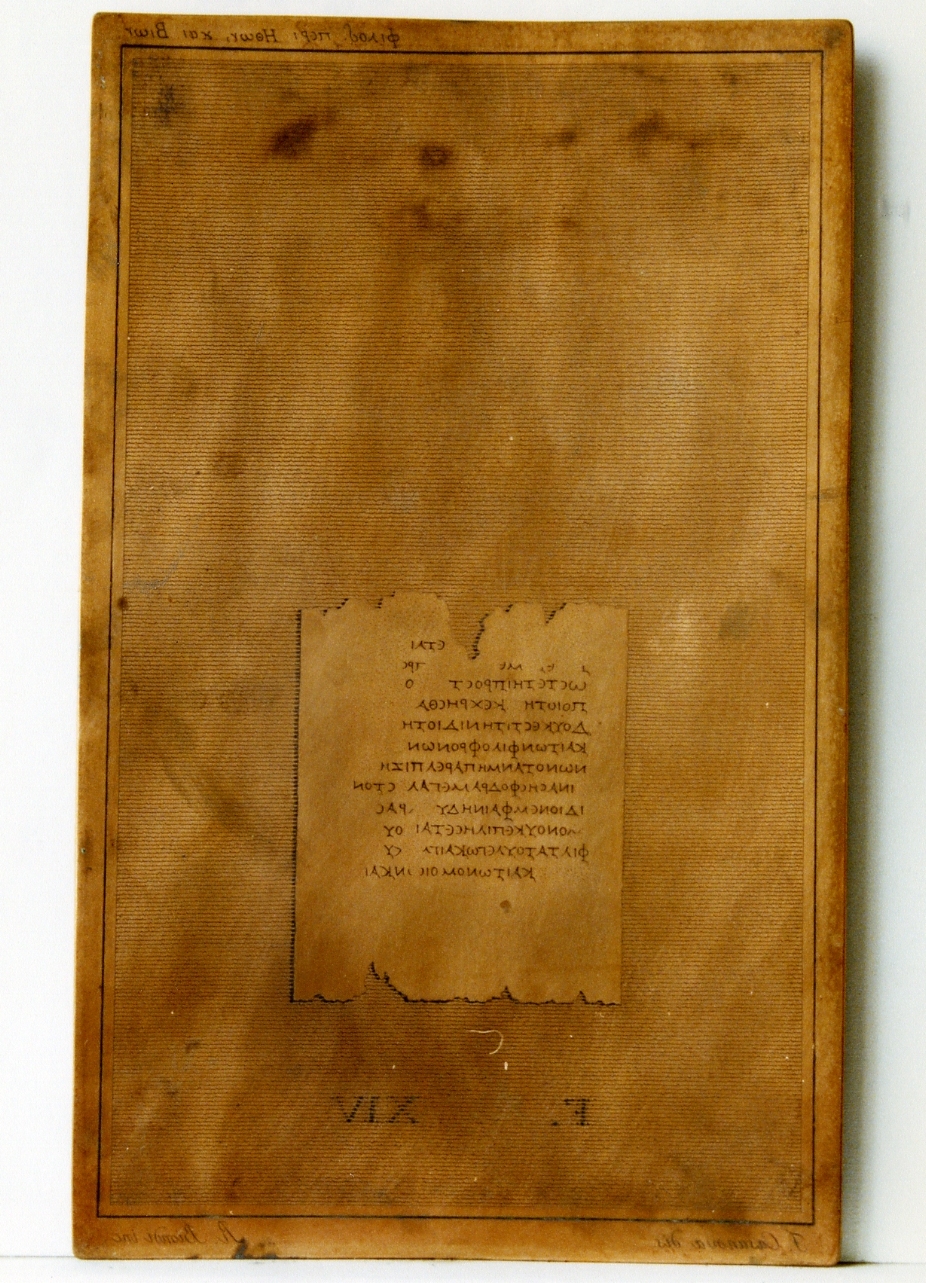 testo greco da Filodemo «dei costumi, delle vite»: F. XIV (matrice) di Biondi Raffaele, Casanova Francesco (sec. XIX)