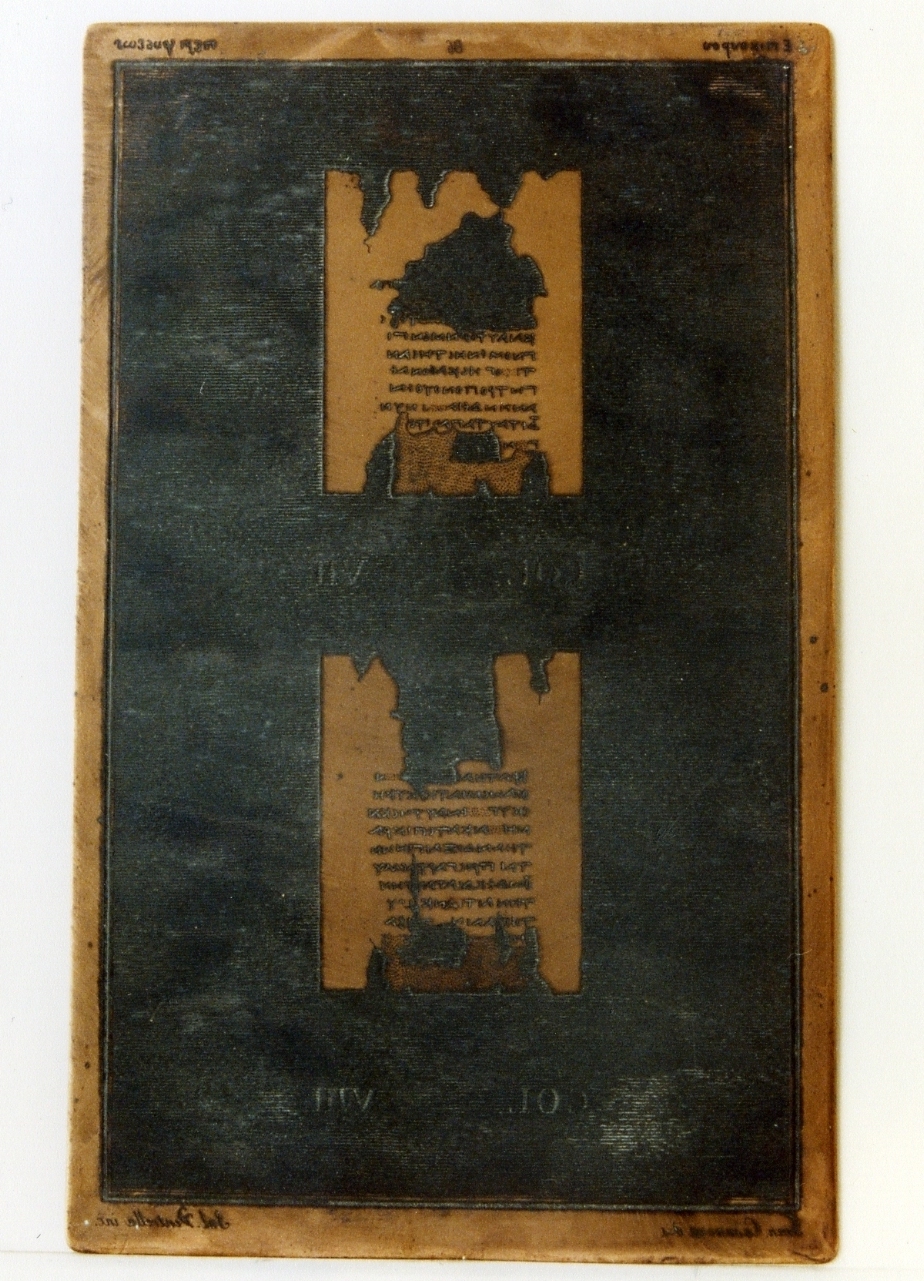 testo greco da Epicuro «della natura»: col. VII, col. VIII (matrice) di Casanova Francesco, Ventrella Salvatore (sec. XIX)