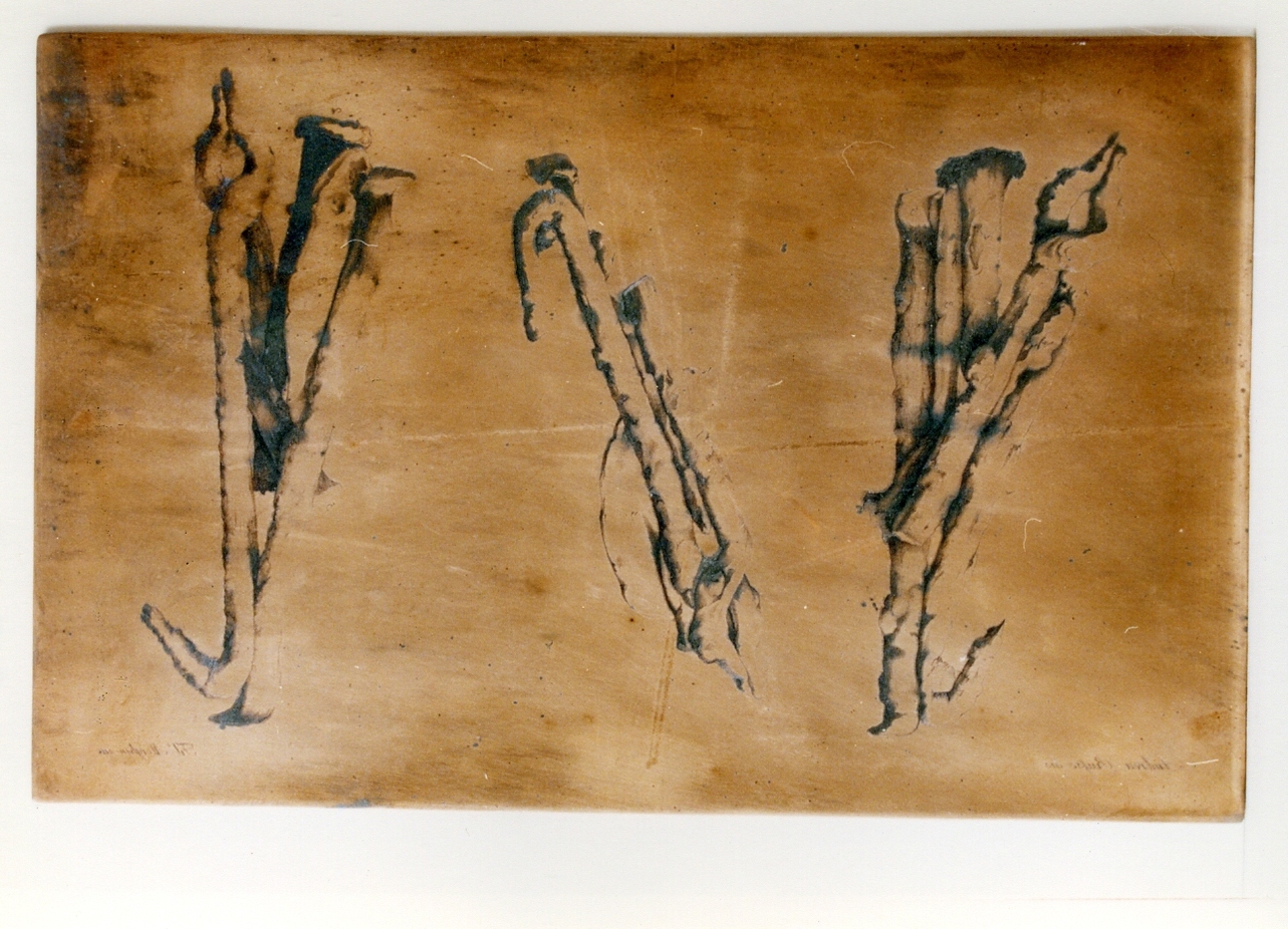 tenaglie carbonizzate di uno stagnaio di Pompei (matrice) di Morghen Filippo, Russo Andrea (sec. XIX)