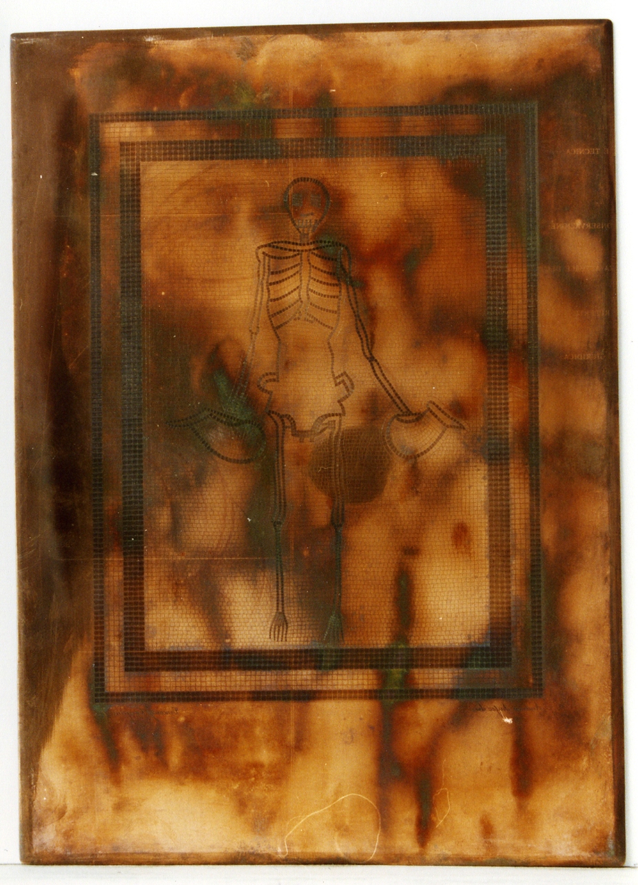 mosaico: scheletro con askoi (matrice) di Crispino Vincenzo, Russo Andrea (sec. XIX)