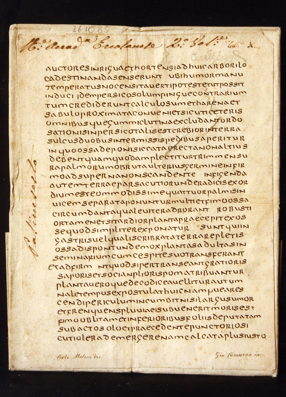 testo latino: codice (stampa controfondata smarginata) di Malesci Carlo, Casanova Giuseppe (sec. XIX)