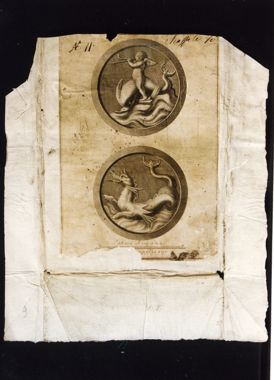 medaglione con putto su delfino/ medaglione con animale marino (stampa controfondata smarginata) - ambito napoletano (?), ambito napoletano (?) (seconda metà sec. XVIII)