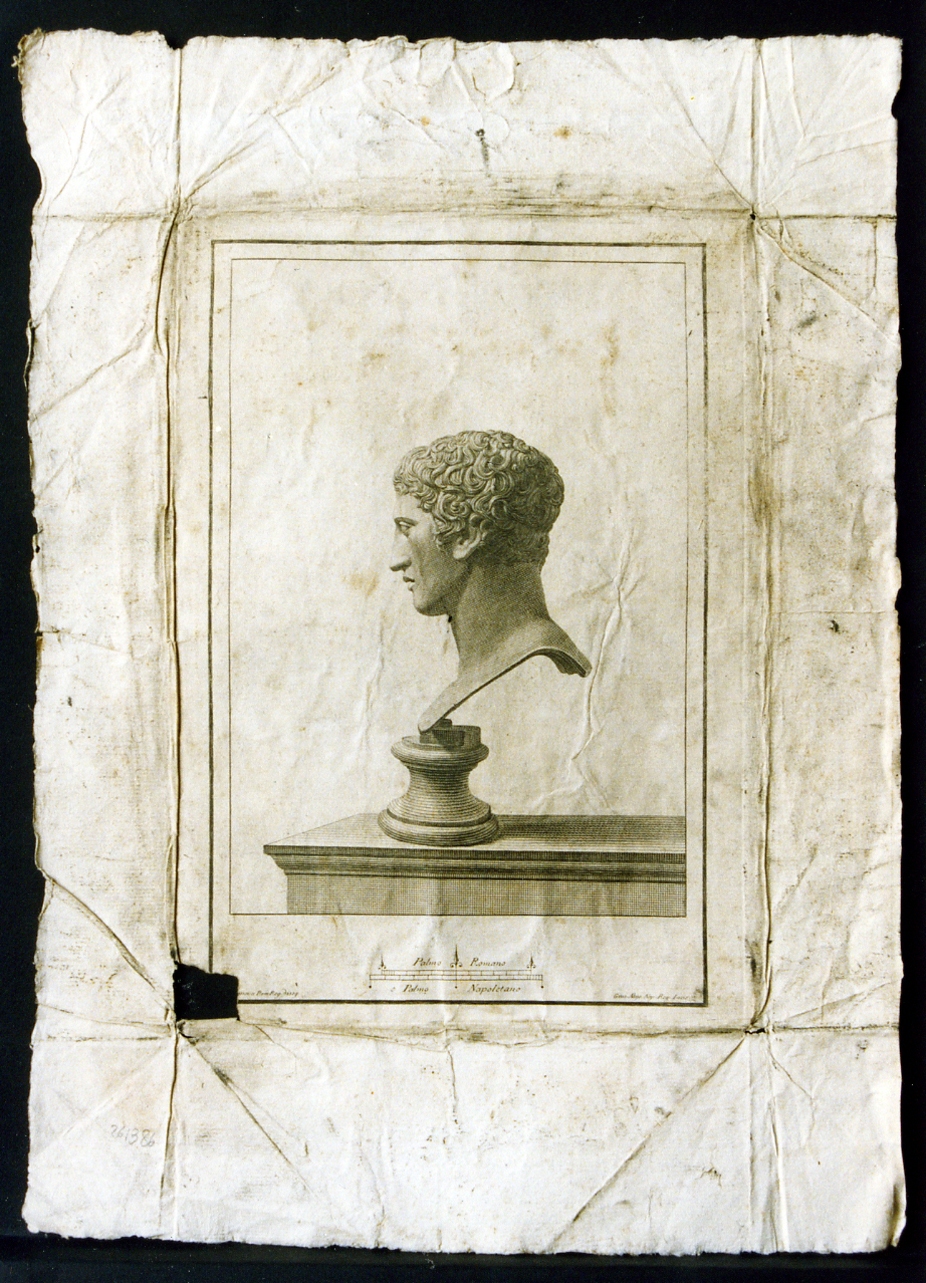 busto virile: profilo (stampa) di Alloja Giuseppe, Casanova Giovanni Battista (sec. XVIII)