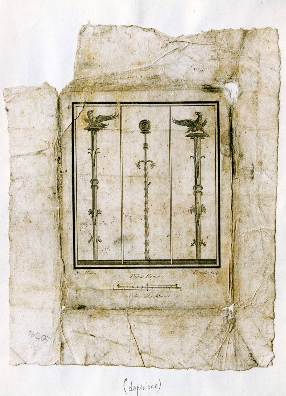 affresco: elemento decorativo (stampa) di Fiorillo Nicola, Vanni Nicola (sec. XVIII)