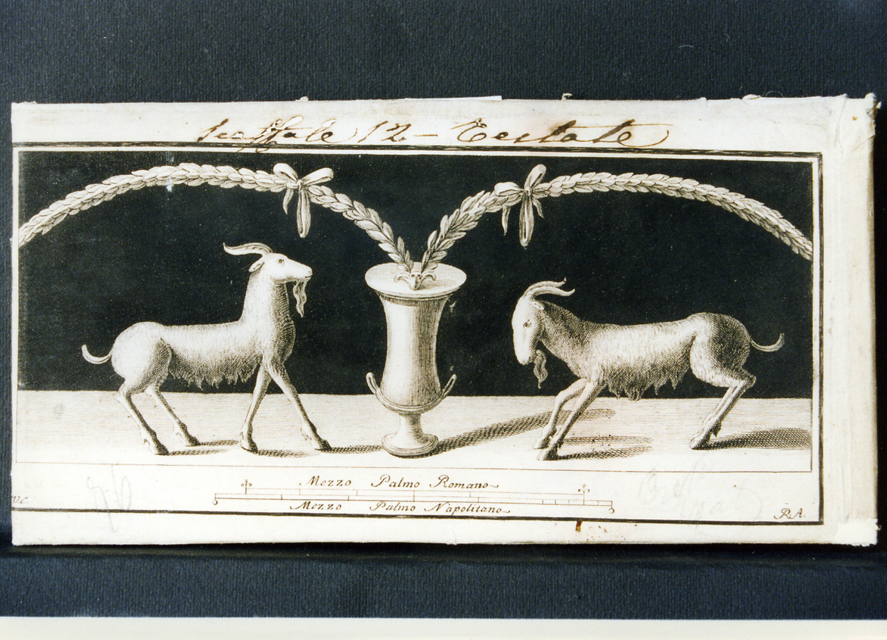 motivo decorativo e due capre (stampa controfondata) di Campana Vincenzo, Aloja Raffaele (seconda metà sec. XVIII)
