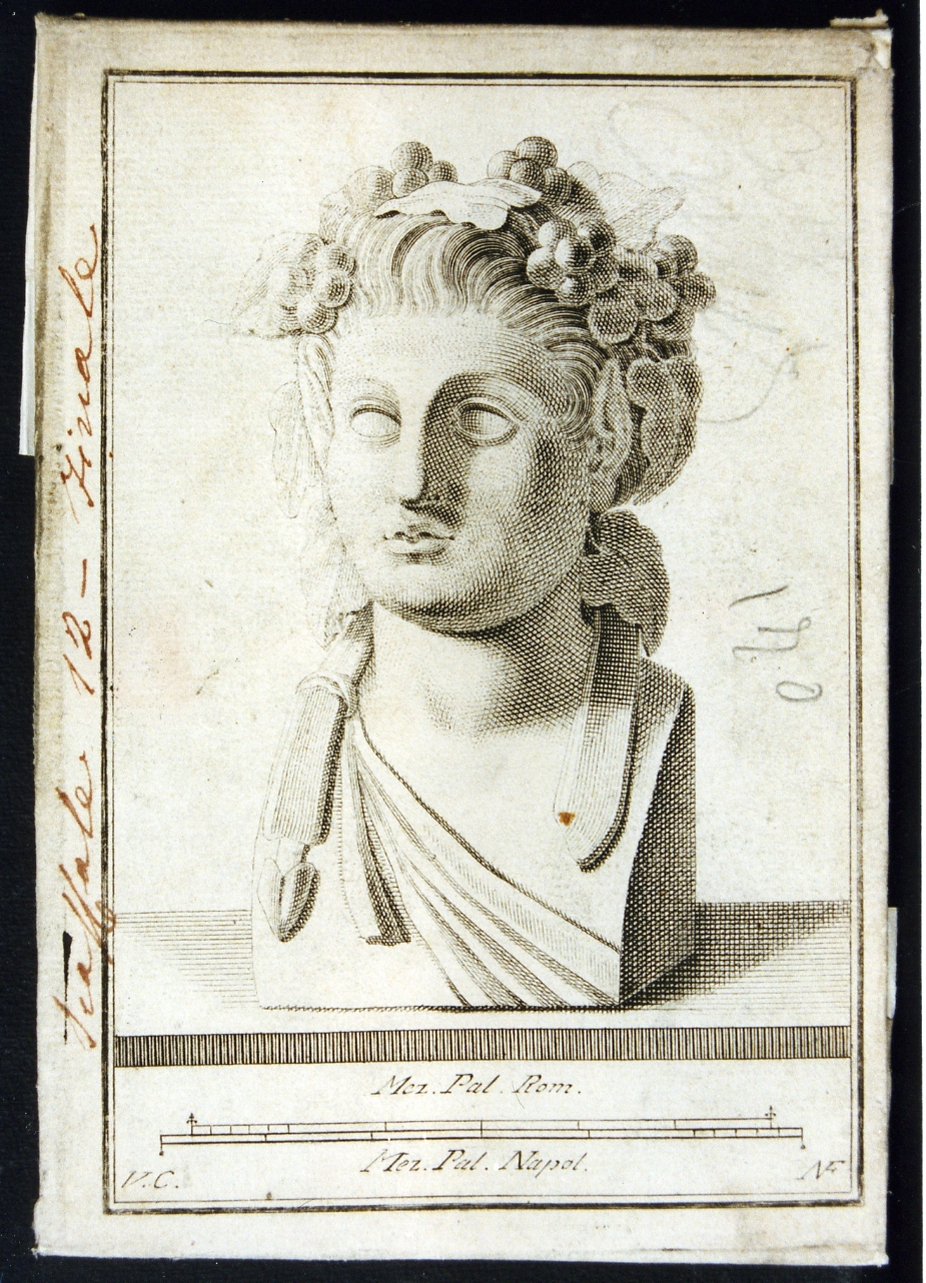 ermetta dionisiaca (stampa controfondata) di Campana Vincenzo, Fiorillo Nicola (seconda metà sec. XVIII)