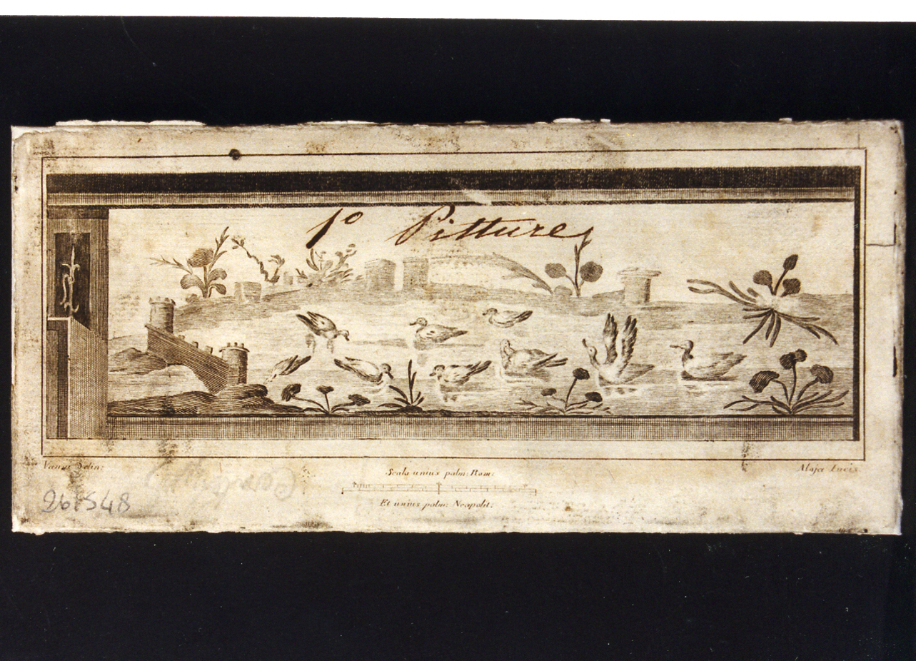 paesaggio fluviale con anatre (stampa controfondata) di Aloja Luigi, Vanni Nicola (sec. XVIII)