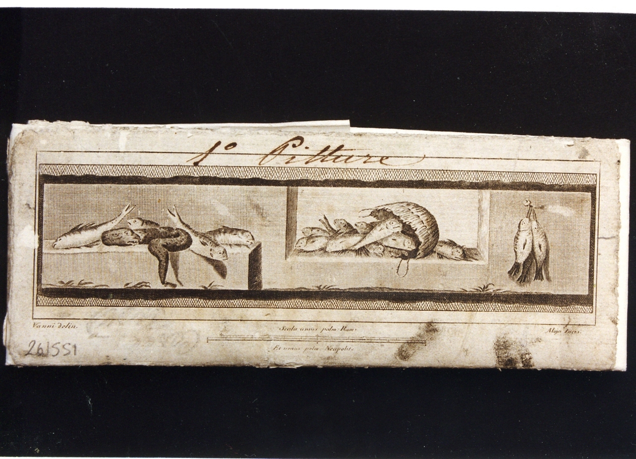 natura morta con pesci (stampa controfondata) di Aloja Luigi, Vanni Nicola (sec. XVIII)