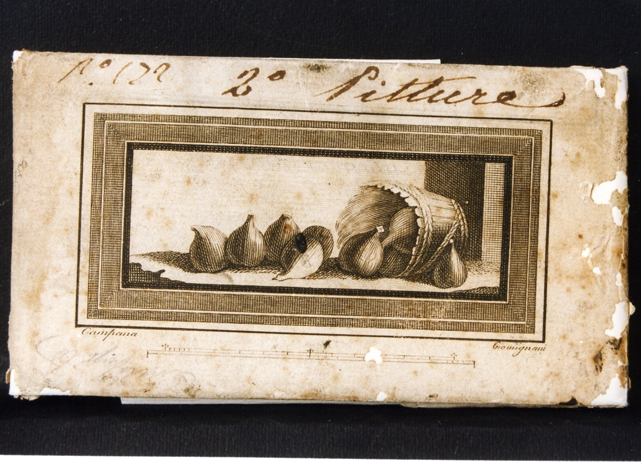 canestro con fichi (stampa controfondata) di Giomignani Francesco, Campana Pietro (seconda metà sec. XVIII)