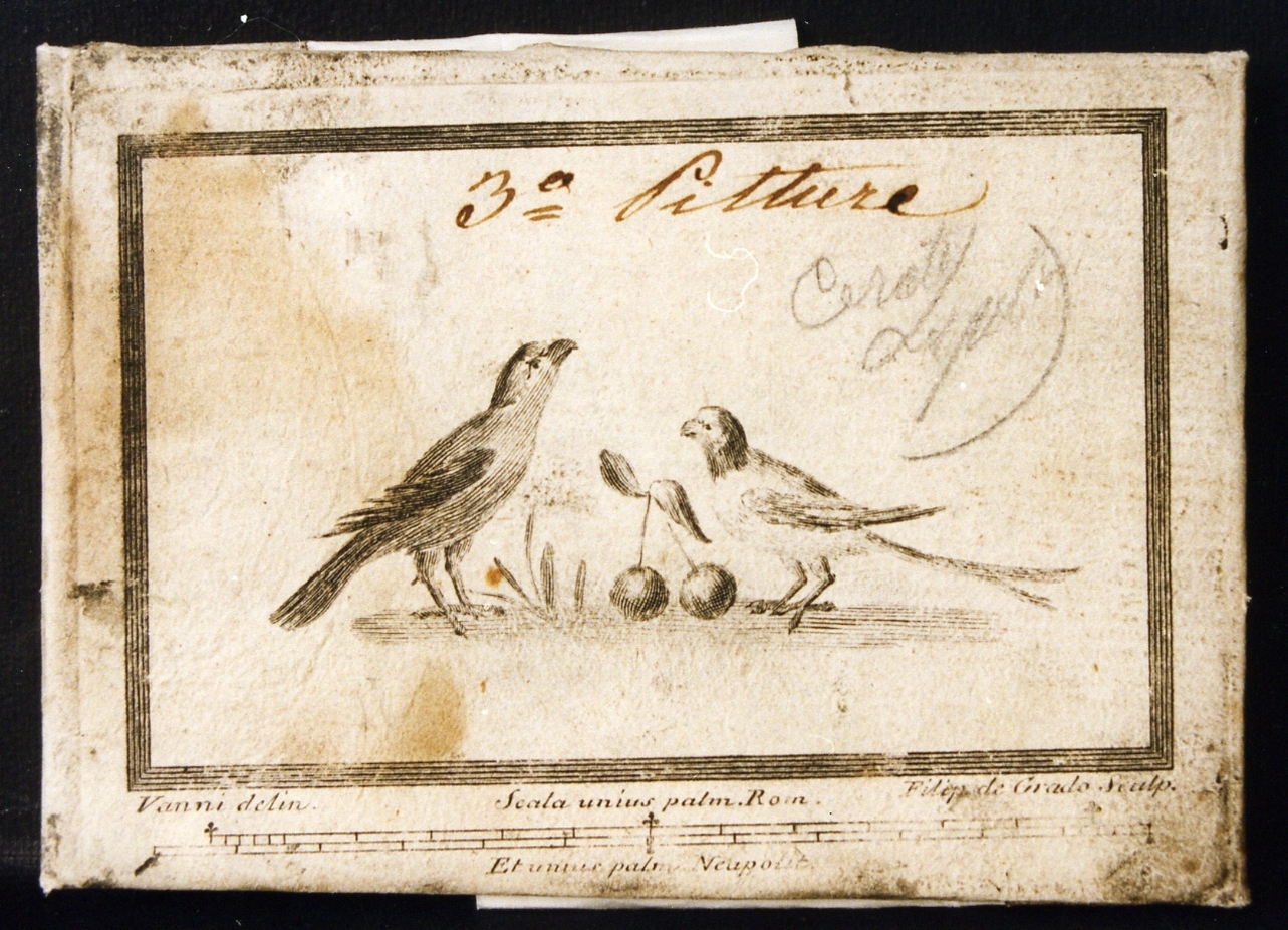 uccelli con ciliege (stampa controfondata) di Vanni Nicola, De Grado Filippo (sec. XVIII)