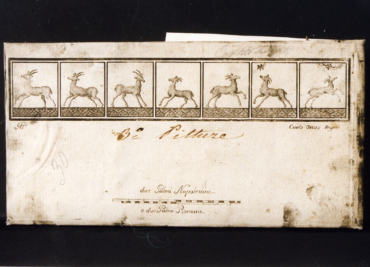 sette pannelli con motivi decorativi con capre (stampa controfondata) di Vanni Nicola, Orazi Carlo (sec. XVIII)