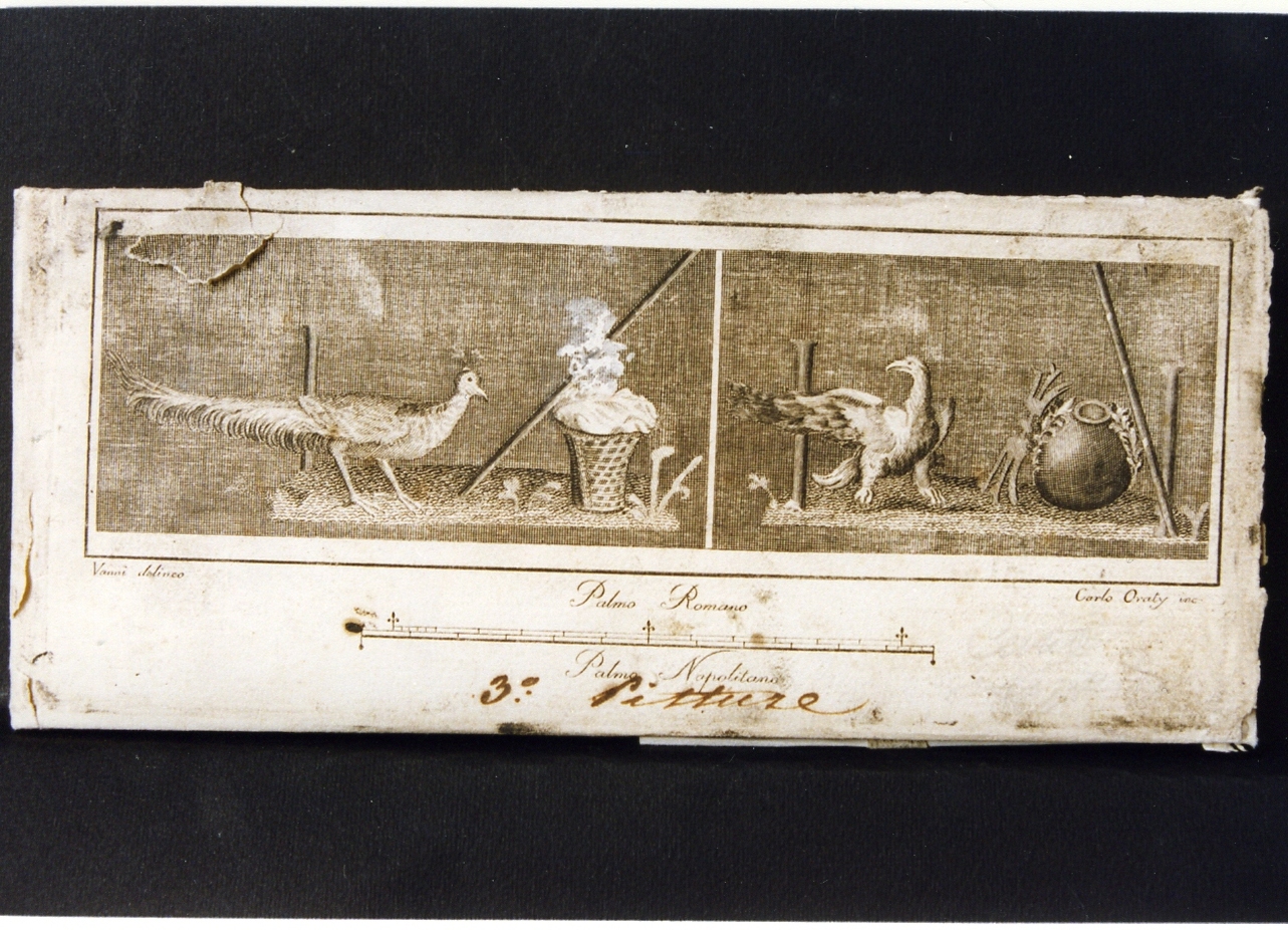pavone con frutta/ aquila e simboli di Zeus (stampa controfondata) di Vanni Nicola, Orazi Carlo (sec. XVIII)