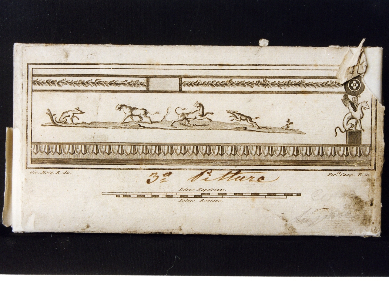 pannello con motivi decorativi e scena di caccia (stampa controfondata) di Campana Ferdinando, Morghen Giovanni Elia (sec. XVIII)