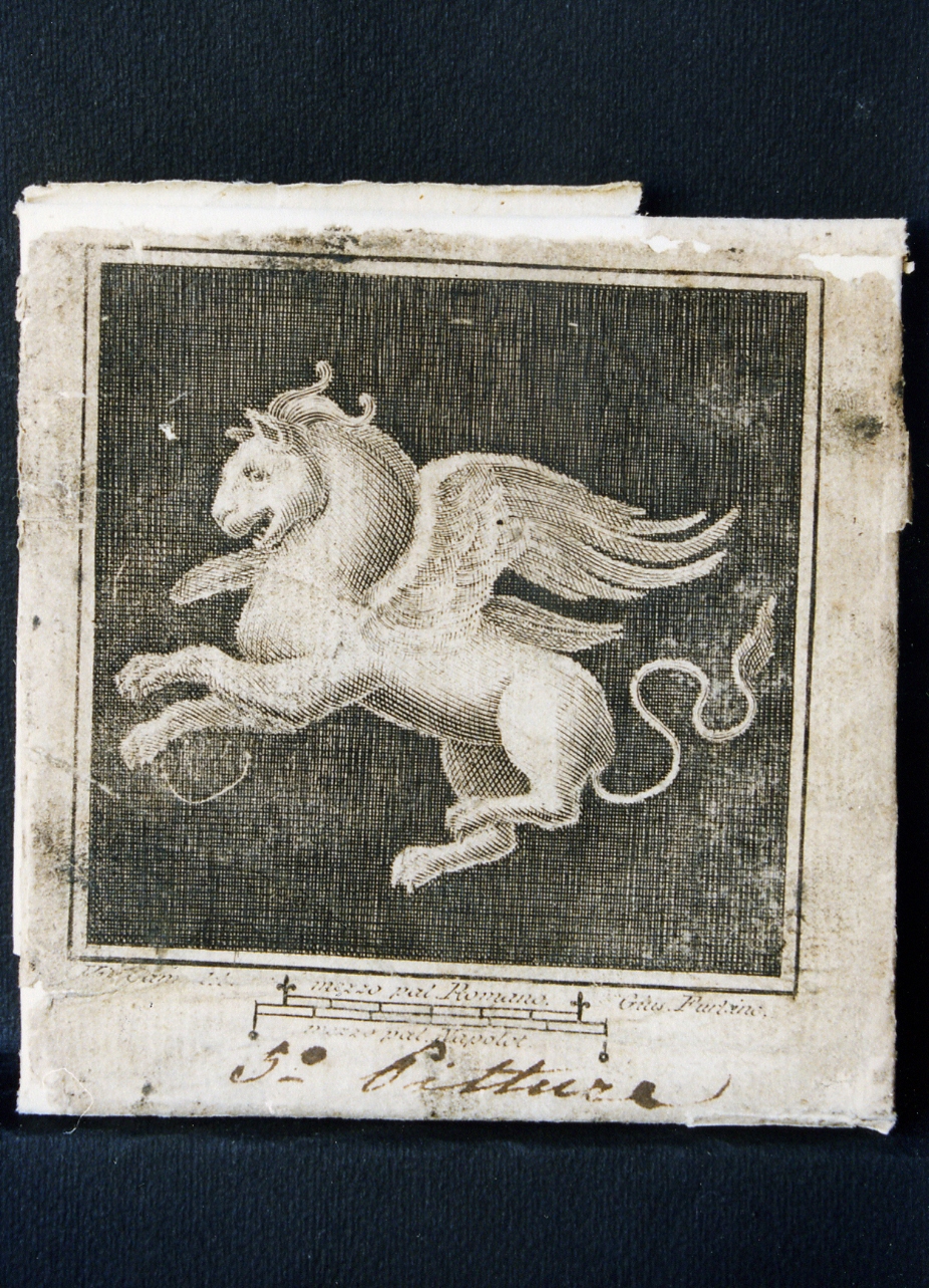 leone alato (stampa controfondata) di Furlanetti Giuseppe, Campana Vincenzo (sec. XVIII)