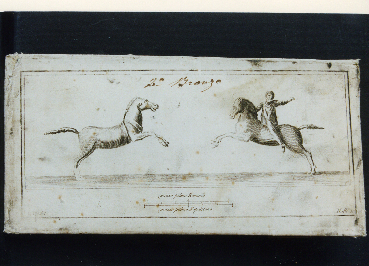 decorazioni bronzee di baltei: barbaro anziano a cavallo, cavallo (stampa) di Campana Vincenzo, Nolli Carlo (sec. XVIII)