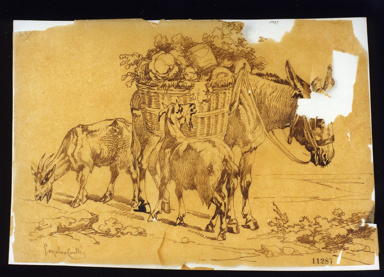 paesaggio con animali (disegno) di Carelli Consalvo (seconda metà sec. XIX)