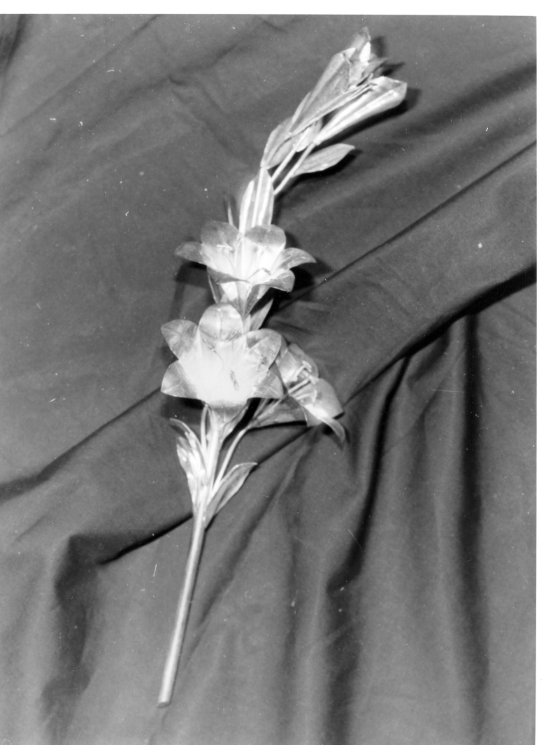 attributo iconografico di immagine sacra, elemento d'insieme - bottega irpina (seconda metà sec. XIX)