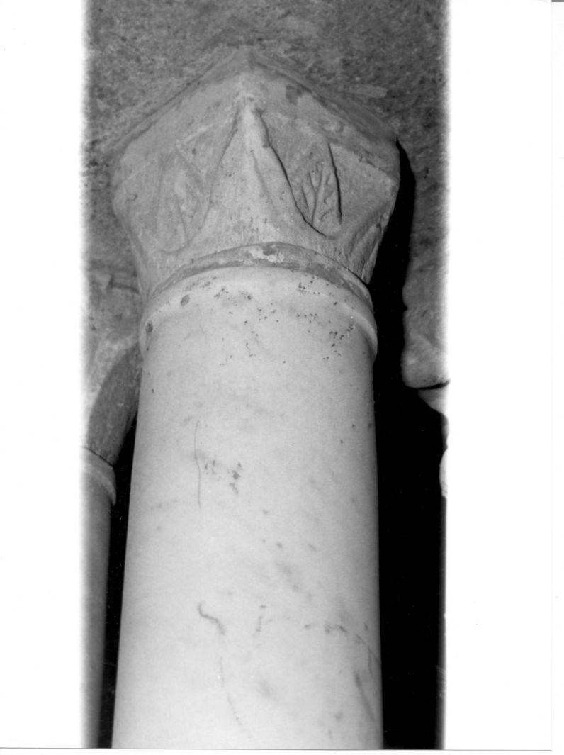 motivi decorativi vegetali (capitello di colonna, elemento d'insieme) - bottega campana (sec. XIII)