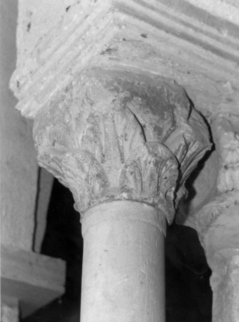 motivi decorativi vegetali (capitello di colonna, elemento d'insieme) - bottega campana (sec. XIII)