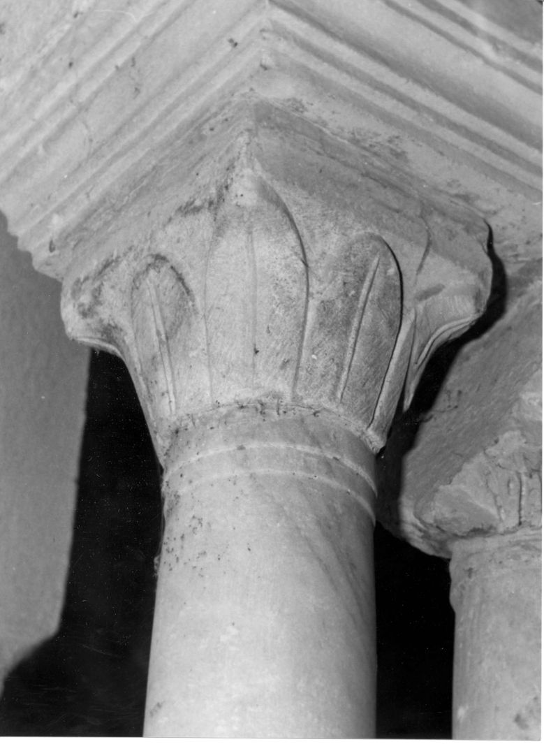 motivi decorativi vegetali (capitello di colonna, elemento d'insieme) - bottega campana (sec. XIII)