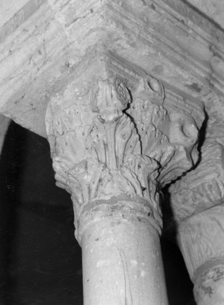 motivi decorativi vegetali (capitello di colonna, elemento d'insieme) - bottega campana (sec. XIII)