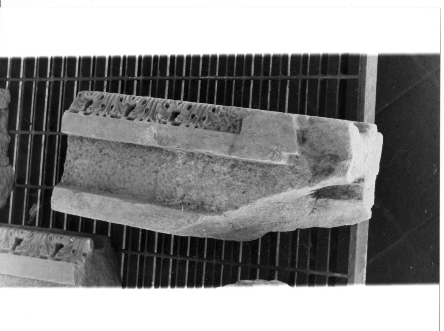 motivi decorativi a foglie d'acanto (basamento, frammento) - bottega campana (sec. XVI)