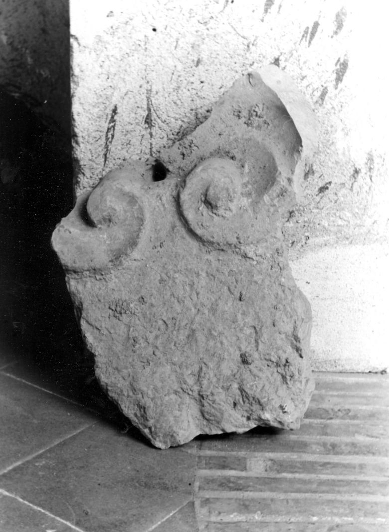 motivo decorativo a volute (rilievo, frammento) - bottega campana (sec. XVI)