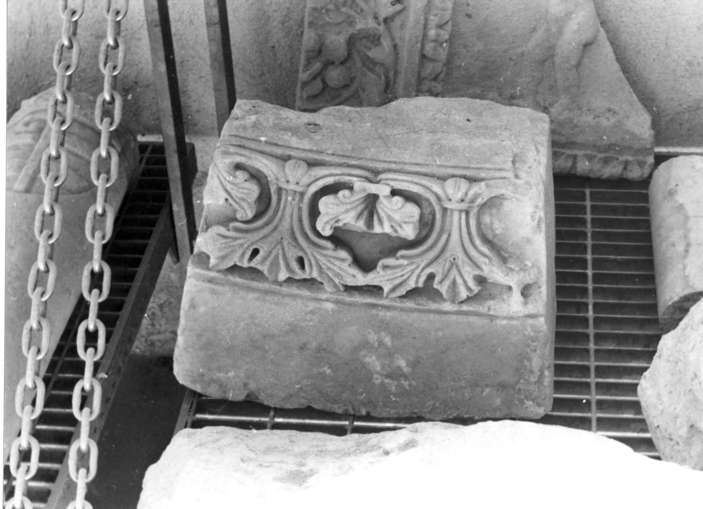 motivi decorativi vegetali (rilievo, frammento) - bottega campana (sec. XVI)