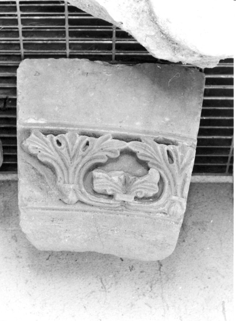 motivi decorativi vegetali (rilievo, frammento) - bottega campana (sec. XVI)