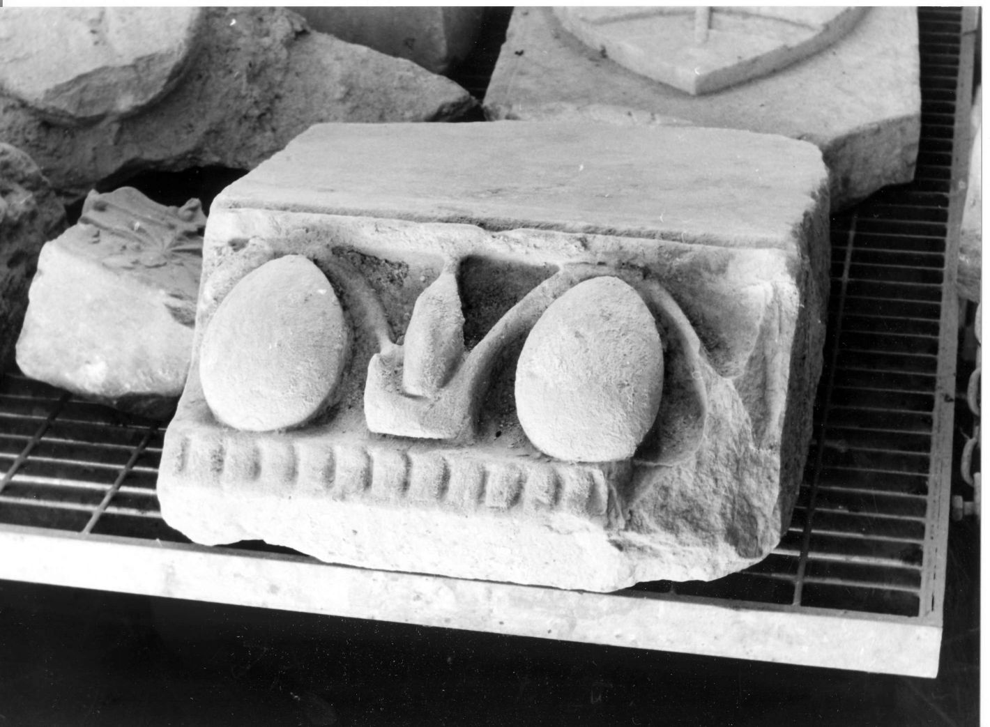 motivi decorativi vegetali (rilievo, frammento) - bottega campana (sec. XVI)