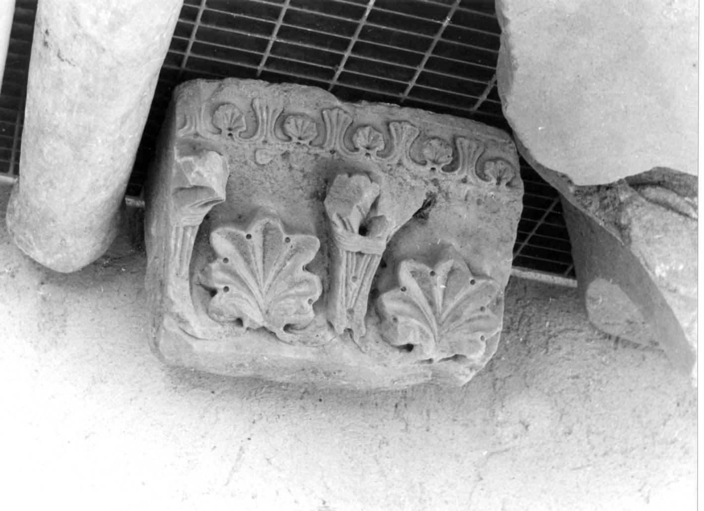 motivi decorativi vegetali (rilievo, frammento) - bottega campana (seconda metà sec. XVI)