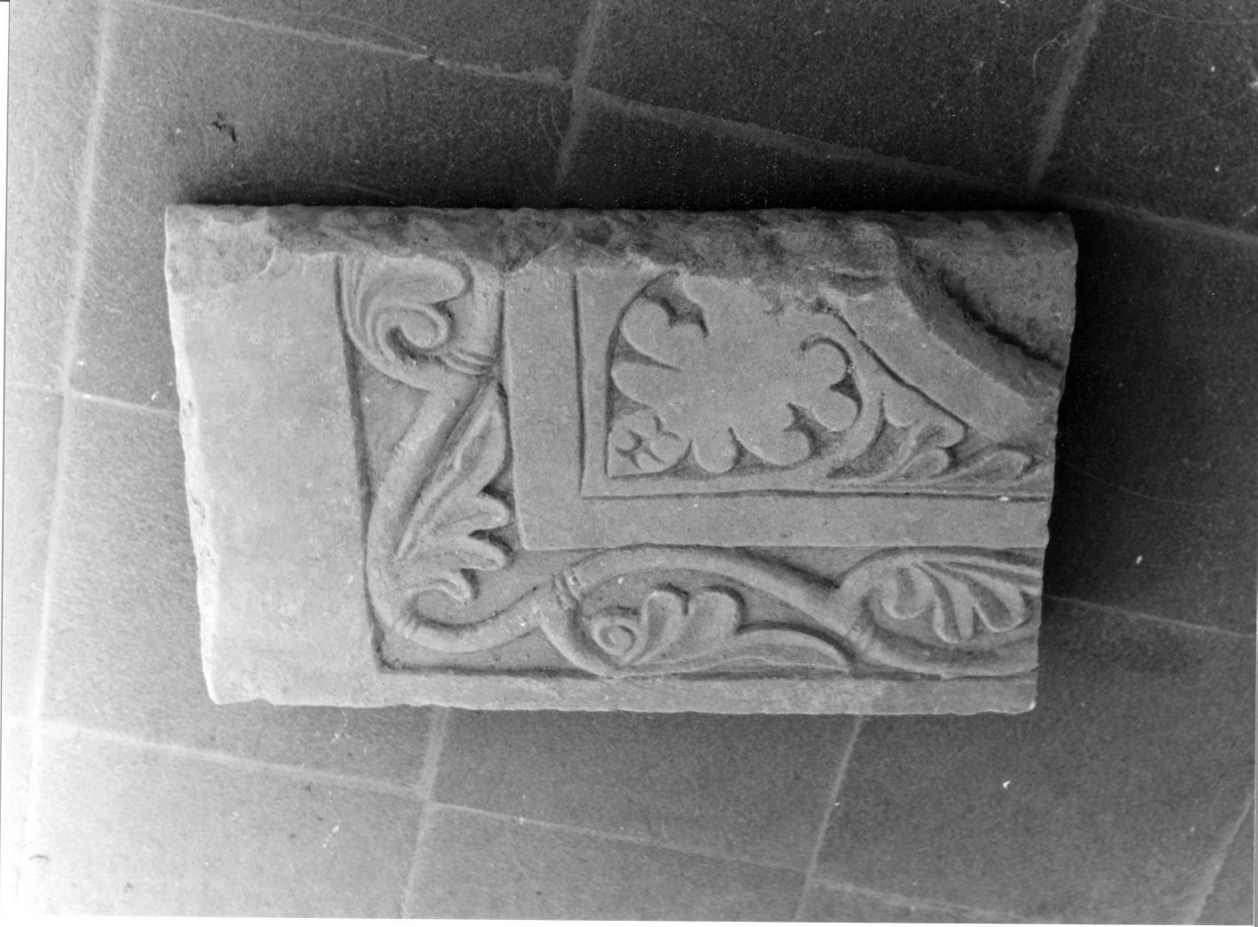 motivi decorativi vegetali (rilievo, frammento) - bottega campana (sec. XVI)