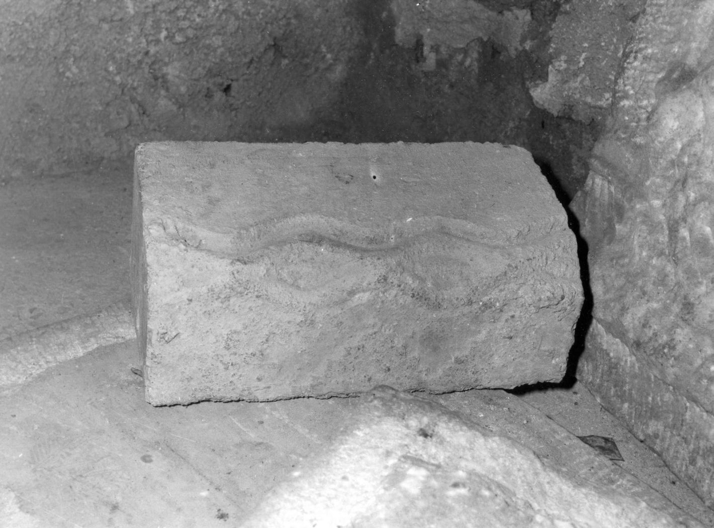 motivo decorativo (base, frammento) - bottega campana (sec. XVI)