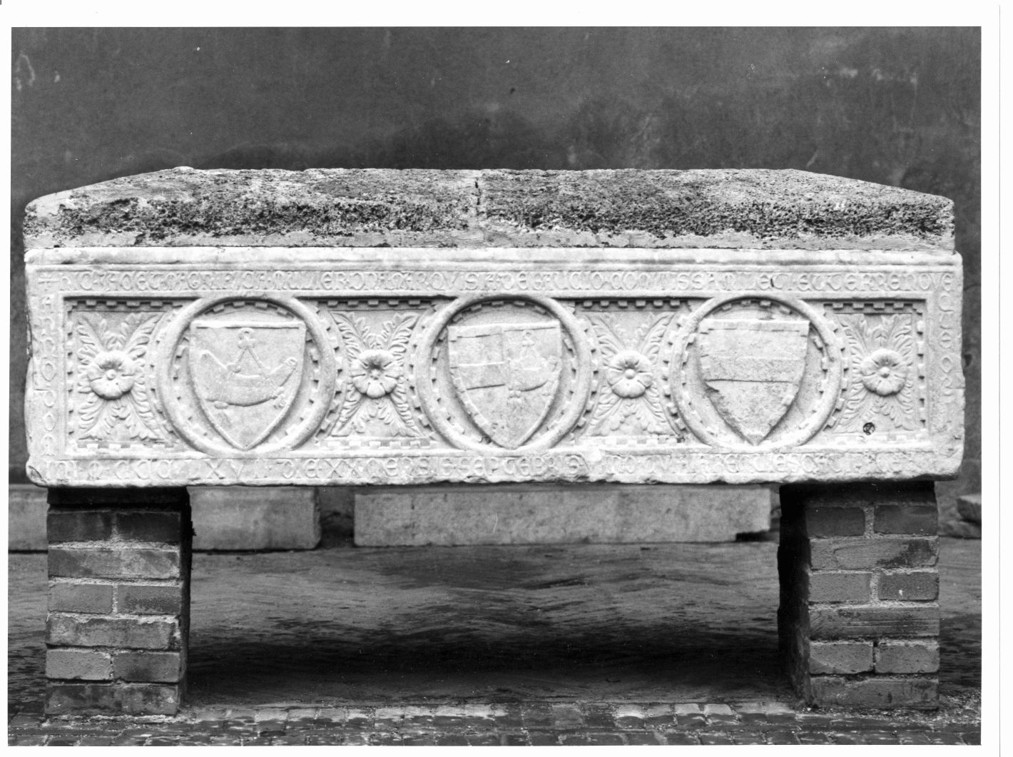 stemma (sarcofago - a cassa) - bottega campana (sec. XIV)